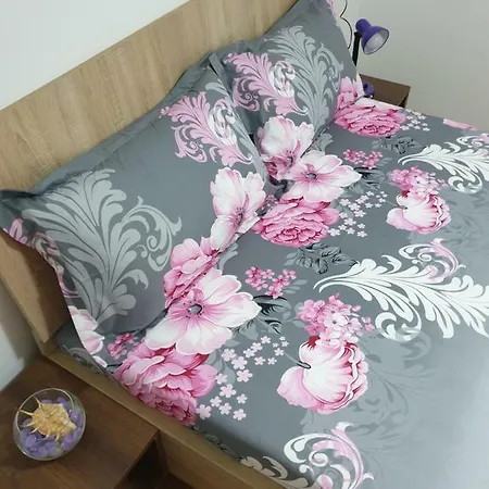 Vila Darius Guest house